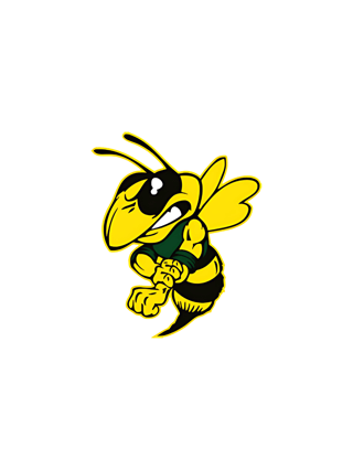 logo - Franklin High