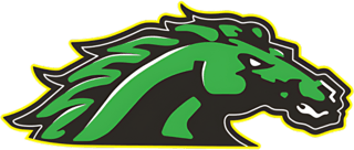 Mills Middle School logo - the head of a green horse with aggressive shadows and outlining.